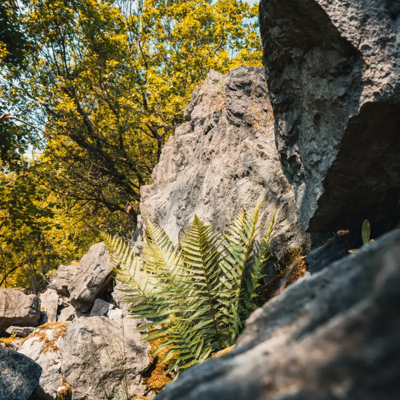Lezecká oblasť Hrádok