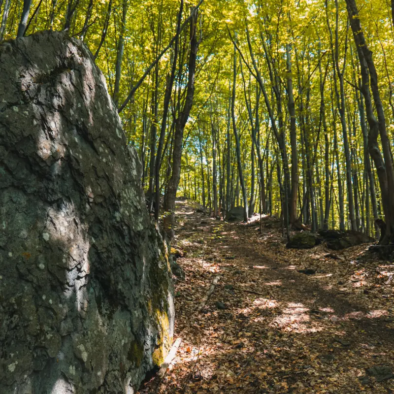 Lezecká oblasť Hrádok