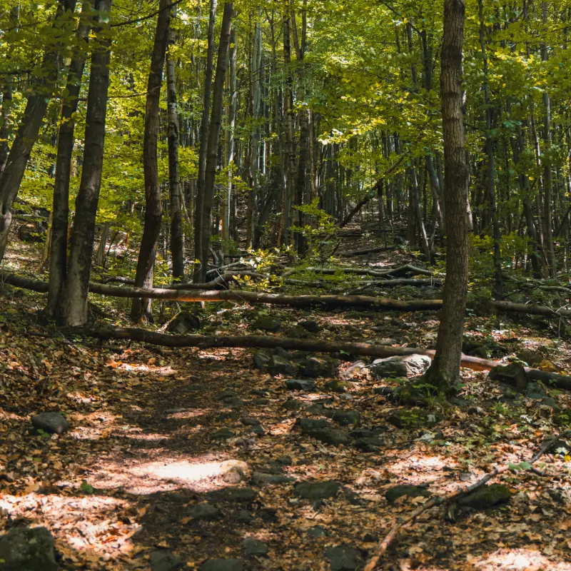 Lezecká oblasť Hrádok