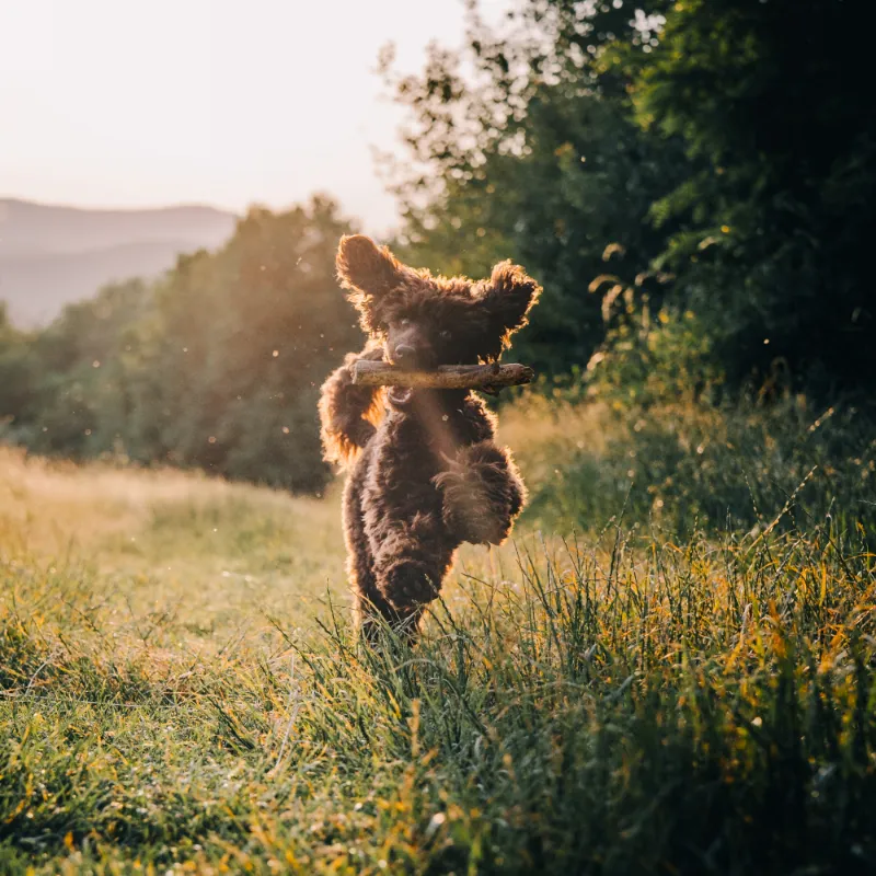Vodná nádrž Lazany