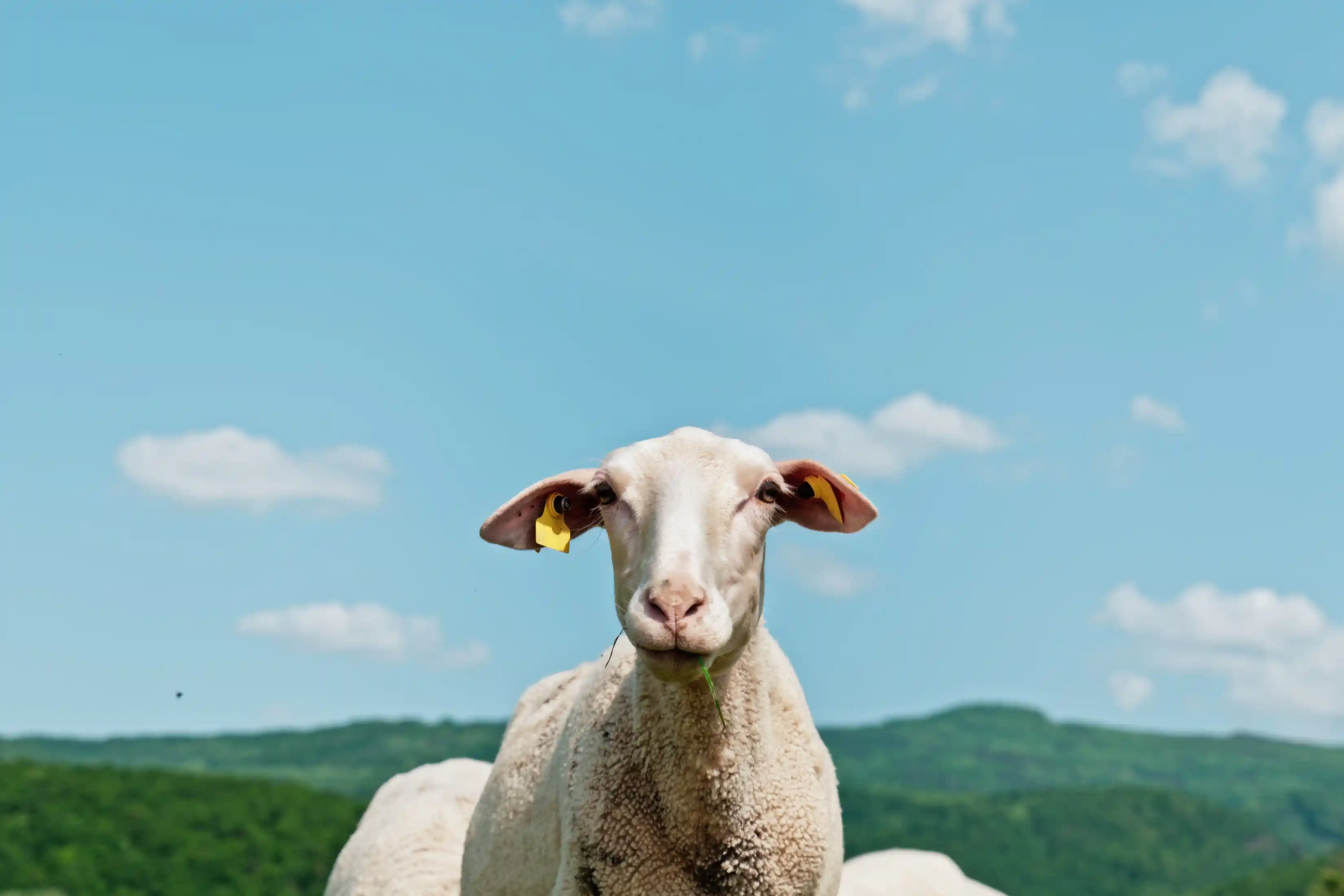 Farma pod Vtáčnikom