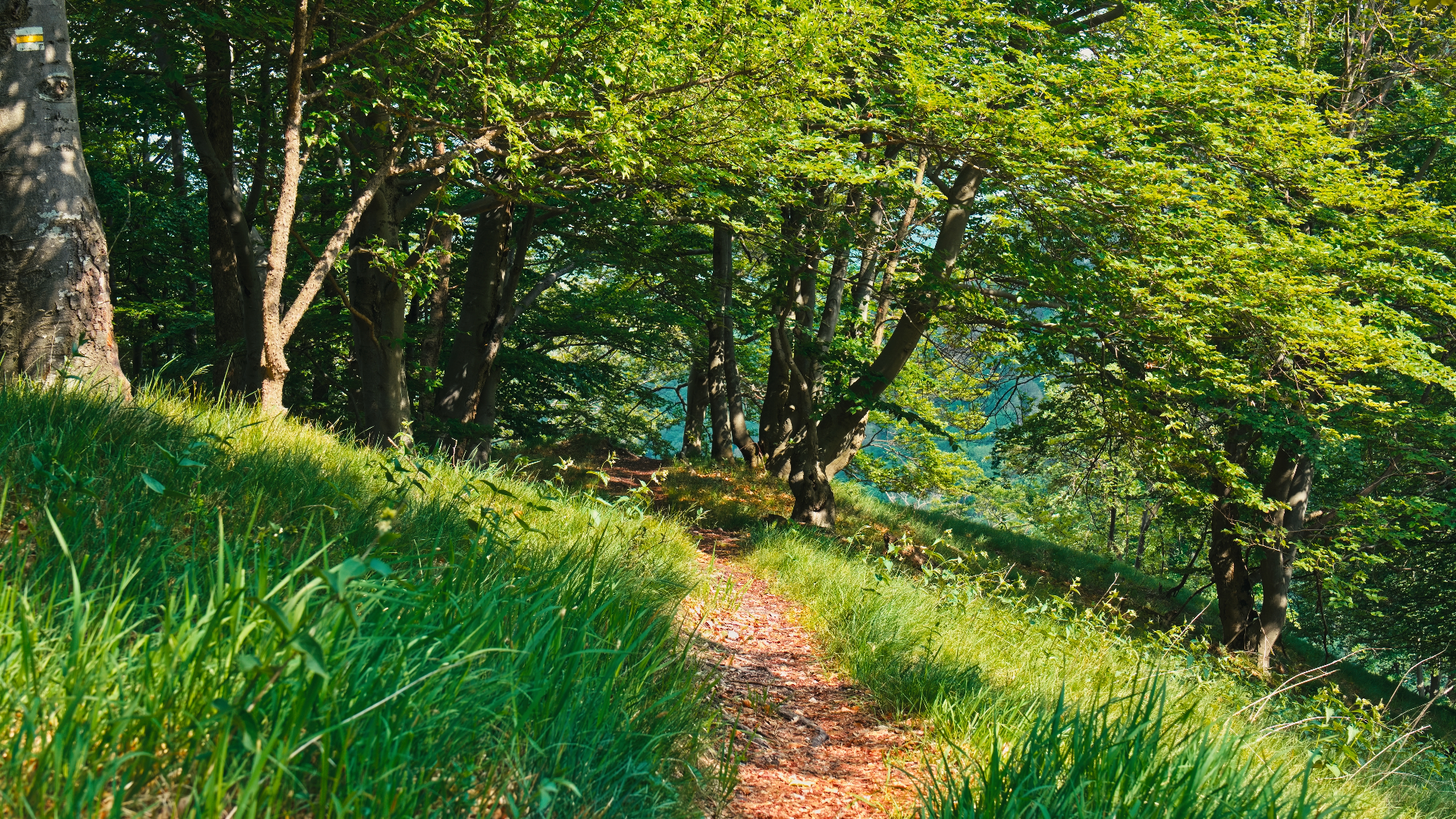 Od motokrosovej dráhy až na vrchol